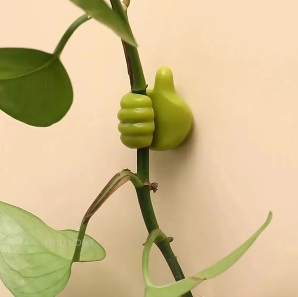 Plant stem holder 💚 - Picture 5 of 7